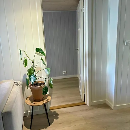 Down Town With Outside Area In