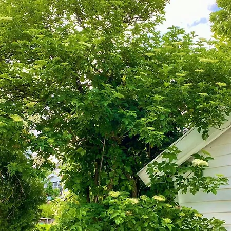 Appartement Down Town With Outside Area In *