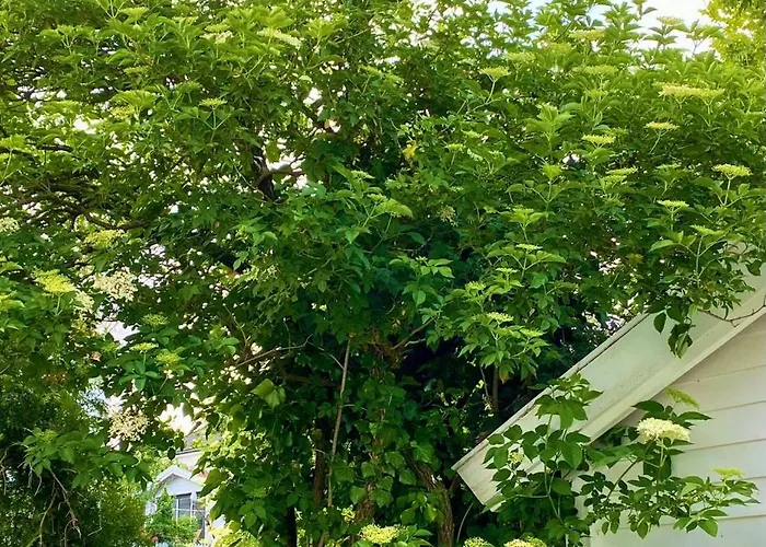 Apartament Down Town With Outside Area In *